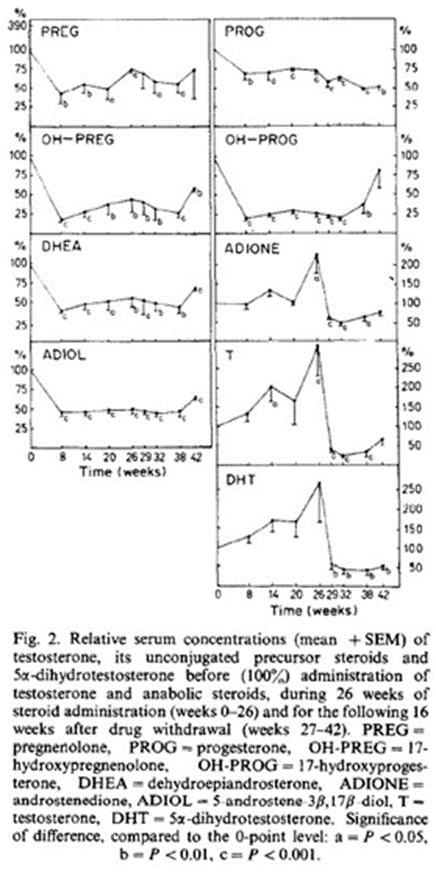 510dbceb 28 2 HCG. PART JUDGMENT DAY