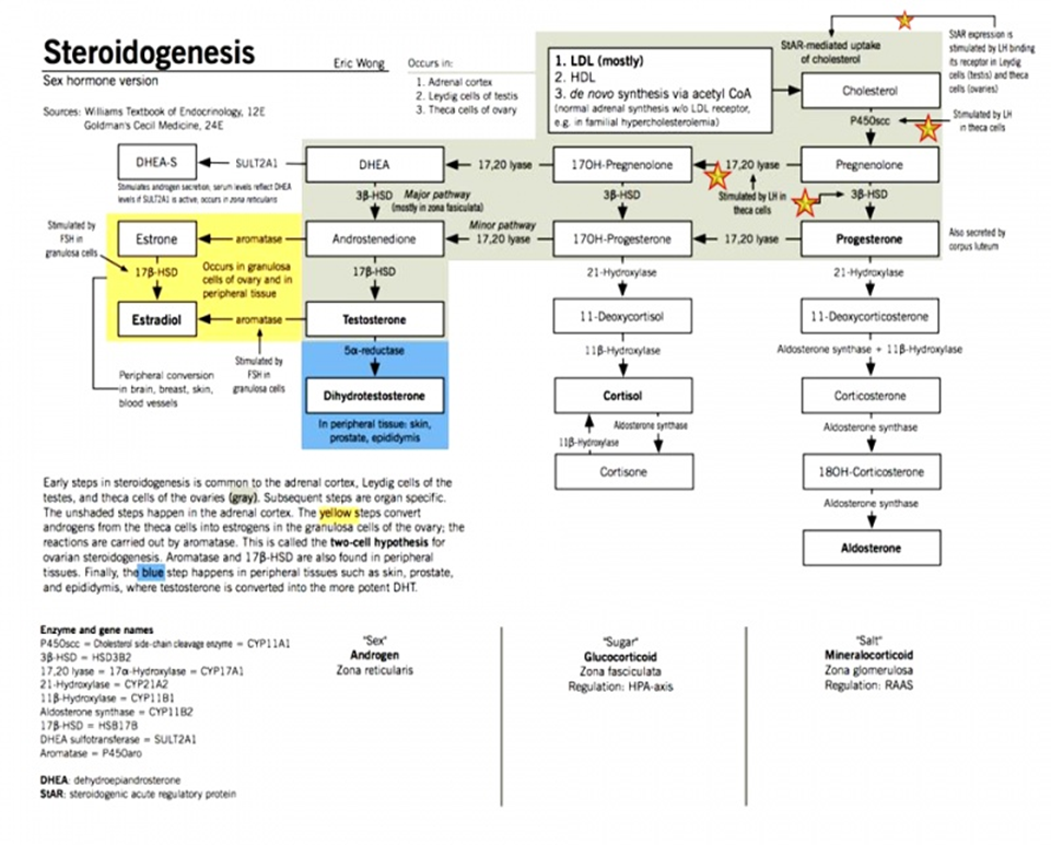 76633646 28 3 HCG. PART JUDGMENT DAY