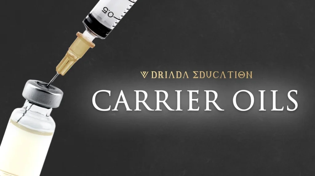 A1d0be68 5 CARRIER OILS 1456x816.jpg 1024x574