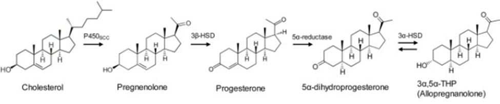 C16dd9a6 28 4 HCG. PART JUDGMENT DAY
